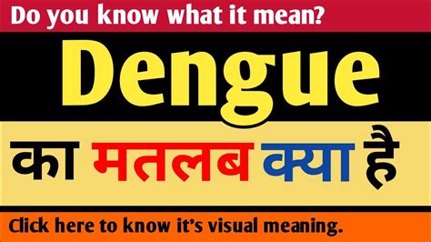dengue meaning in hindi
